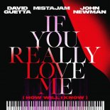 David Guetta x MistaJam x John Newman - If You Really Love Me (How Will I Know) (Extended)