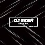 DJ SEBA OFFICIAL IN THE MIX - Sprężynka - (Original Mix)
