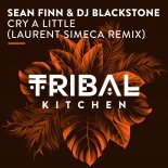 DJ Blackstone, Sean Finn - Cry a Little (Laurent Simeca Remix)