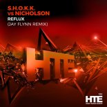 S.H.O.K.K. vs. Nicholson - Reflux (Jay Flynn Extended Remix)