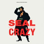 Seal - Crazy (William Orbit Mix)