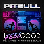 Pitbull, Anthony Watts feat. DJWS - I Feel Good (Original Mix)