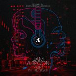 Jam & Spoon feat. Plavka - Right in the Night (Balthazar & JackRock Extended Timeless Night Remix)