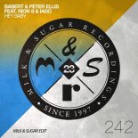 Babert, Peter Ellis feat. Rion S, Iago - Hey Baby (Milk & Sugar Extended Edit)