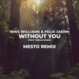 Mike Williams & Felix Jaehn feat. Jordan Shaw - Without You (Mesto Remix)