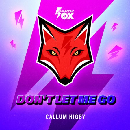 Callum Higby - Don't Let Me Go (Extended Mix)