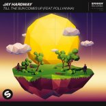 Jay Hardway feat PolyAnna - Till The Sun Comes Up (Extended Mix)