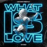 Nyro - What Is Love (Devan Extended Remix)