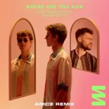 Lost Frequencies & Calum Scott - Where Are You Now (Amice Remix)