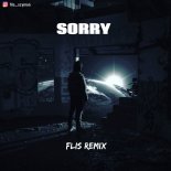 Alan Walker & ISÁK - Sorry (Flis Remix)