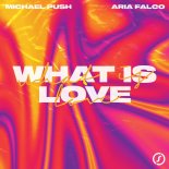 Michael Push feat. Aria Falco - What Is Love