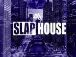 Max-B - BEST OF SLAP HOUSE #1