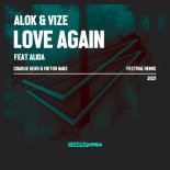 Alok & VIZE Ft. Alida - Love Again (Radio Edit)