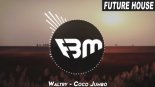 Waltry - Coco Jumbo (2k21 Mix) FBM