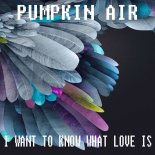 Pumpkin Air - I Want to Know What Love Is (Extended Mix)