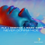 FLX x Semitoo x Marc Korn - Never Gonna Hide (Radio Edit)