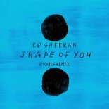 Ed Sheeran - Shape of You (D3QUES REMIX)