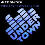 Alex Guesta - What You Waiting For (Extend Mix)