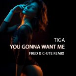 Tiga - You Gonna Want Me (FRED & C-UTE remix)