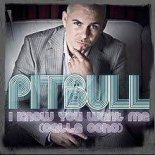 PITBULL - I Know You Want Me (Rodrigo PRO Remix)