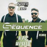 Soleo & AM - A Po Weselu (DJ Sequence Remix)