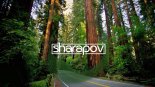 Sharapov & Stefre Roland - Deep Power (Original Mix)