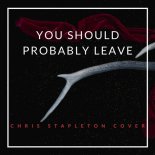 Chris Stapleton - You Should Probably Leave
