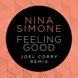 Nina Simone - Feeling Good (Joel Corry Remix)