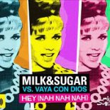 Milk & Sugar vs Vaya Con Dios - Hey (Nah Neh Nah) (ZILITIK x VJ Pixxel Club Mix)