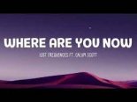 Lost Frequencies & Calum Scott - Where Are You Now (Extended Mix).