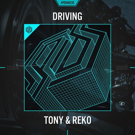 Tony & Reko - Driving