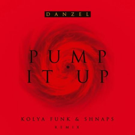 Danzel - Pump It Up (Kolya Funk & Shnaps Remix)