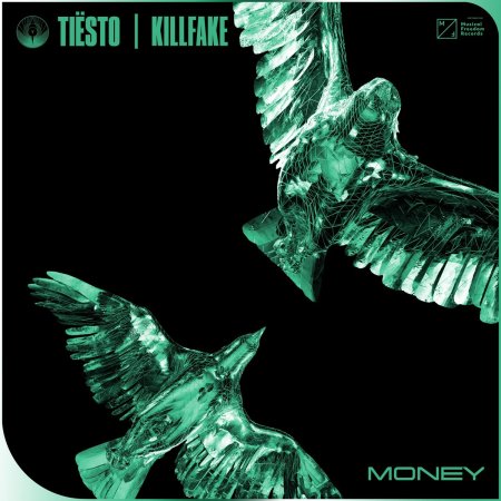 Tiesto feat. Killfake - Money (Radio Edit)