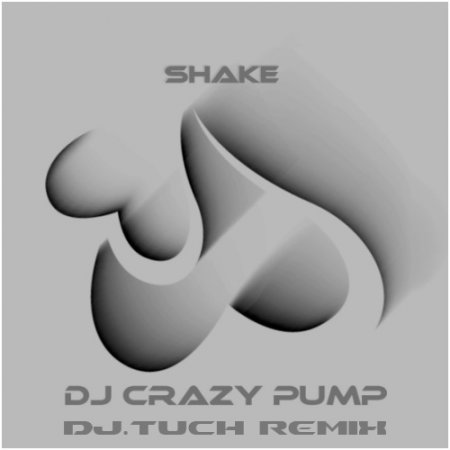 DJ CRAZY PUMP - Shake (DJ.Tuch Remix)