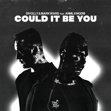 Divolly & Markward feat. ANML KNGDM - Could It Be You