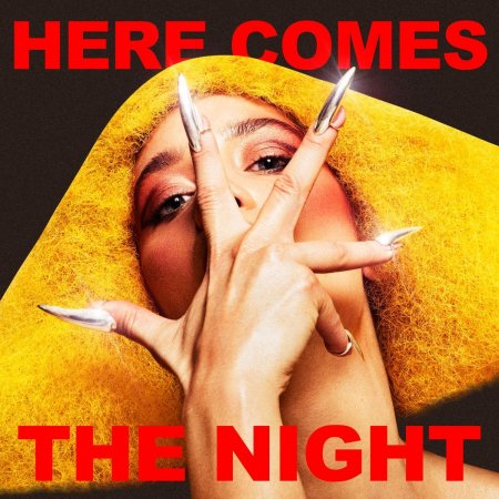 Agnes - Here Comes The Night