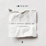 Louis Bekk feat. Sander Nijbroek - Don't Forget About Me