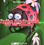 Miś i Margolcia - Tylko Biedronka nie ma ogonka (DJ Luxons Bootleg)