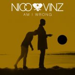 Nico & Vinz vs. Flava & Stevenson - Am I Wrong (Zhukovsky Mashup)