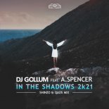 DJ Gollum feat. A.Spencer - In the Shadows 2k21 (Shinzo x Qaos Extended Mix)
