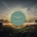 Markus Schulz - Lisbon (Extended Mix)