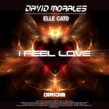 David Morales x Elle Cato - I Feel Love
