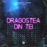 Mannymore & Laduna feat. Jacqueline - Dragostea Din Tei (Extended Mix)