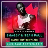 Akon & Eminem & Shaggy & Sean Paul - Smack That Sexy Lady (Alex Zago Bootleg Edit)