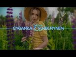 Fair Play - Cyganka z tamburynem (Raisin Remix)