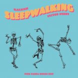 KALUSH feat. Victor Perry - Sleepwalking (Pink Panda)