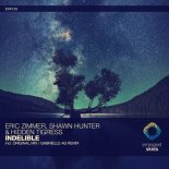 Eric Zimmer, Shawn Hunter & Hidden Tigress - Indelible (Gabrielle Ag Extended Remix)
