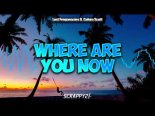 Lost Frequencies ft. Calum Scott - Where Are You Now (Scrappy2K Bootleg) 2021