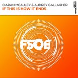 Ciaran McAuley & Audrey Gallagher - If This Is How It Ends (Extended Mix)