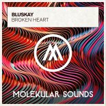 Bluskay - Broken Heart (Extended Mix)